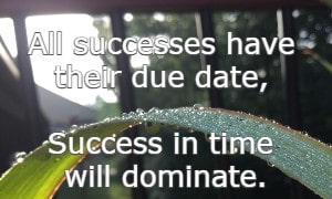 All successes have their due date, Success in time will dominate