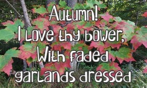 Autumn! I love thy bower, With faded garlands dressed
