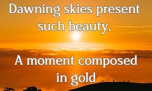 Dawning skies present such beauty, A moment composed in gold