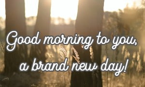 Good morning to you, a brand new day!