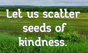 Let us scatter seeds of kindness.