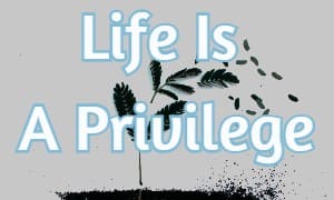 Life Is A Privilege