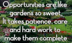 Opportunities are like gardens so sweet, It takes patience, care and hard work to make them complete