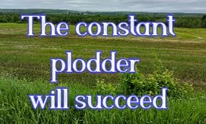 The constant plodder will succeed