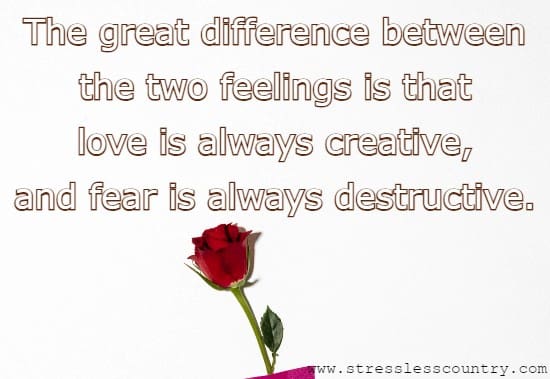 The great difference between the two feelings is that love is always creative, and fear is always destructive.