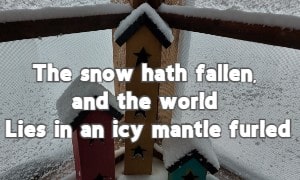 The snow hath fallen, and the world Lies in an icy mantle furled