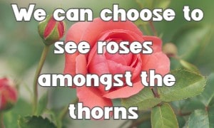 We can choose to see roses Amongst the thorns