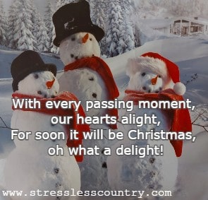 With every passing moment, our hearts alight, For soon it will be Christmas, oh what a delight!