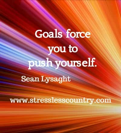 Goals force you to push yourself. Sean Lysaght