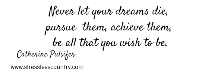 Never let your dreams die, pursue them, achieve them, be all that you wish to be.