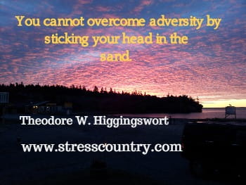 You cannot overcome adversity by sticking your head in the 
sand. Theodore W. Higgingsworth